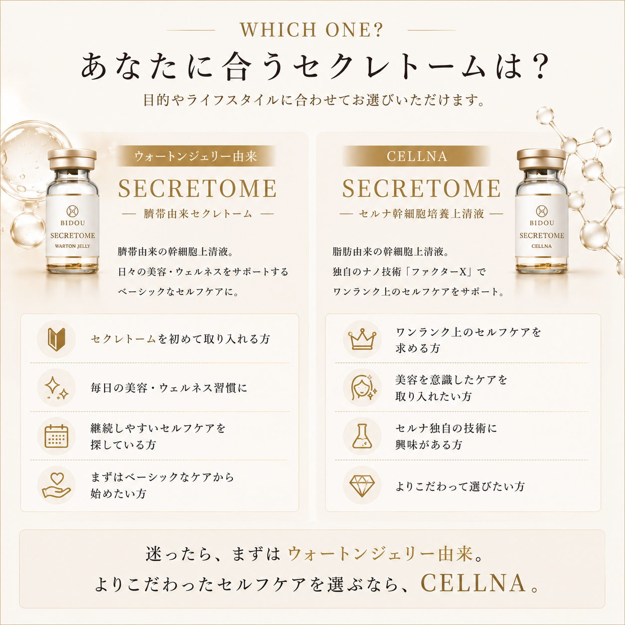 セルナ幹細胞培養上清液 5本セット