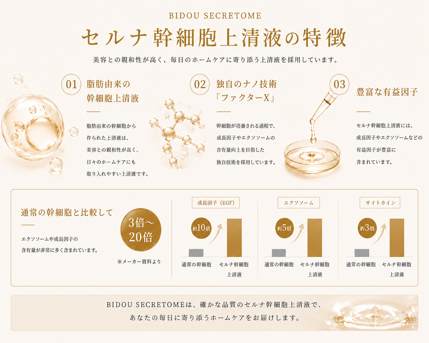 セルナ幹細胞培養上清液 5本セット