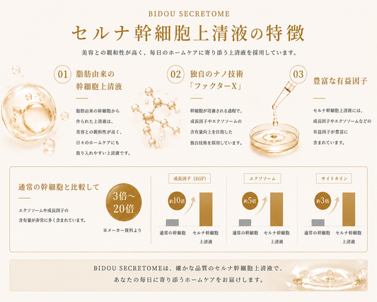 セルナ幹細胞培養上清液１０本セット
